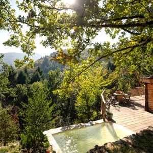 Cabane en bois avec terrasse et vue panoramique sur la nature en Auvergne-Rhône-Alpes.
