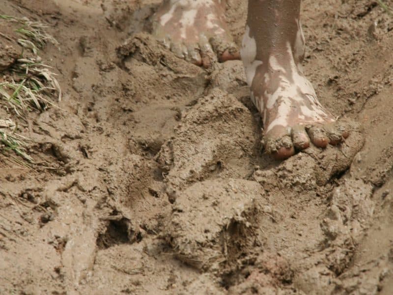 Pieds nus dans la boue, un hébergement en pleine nature pour une expérience authentique.