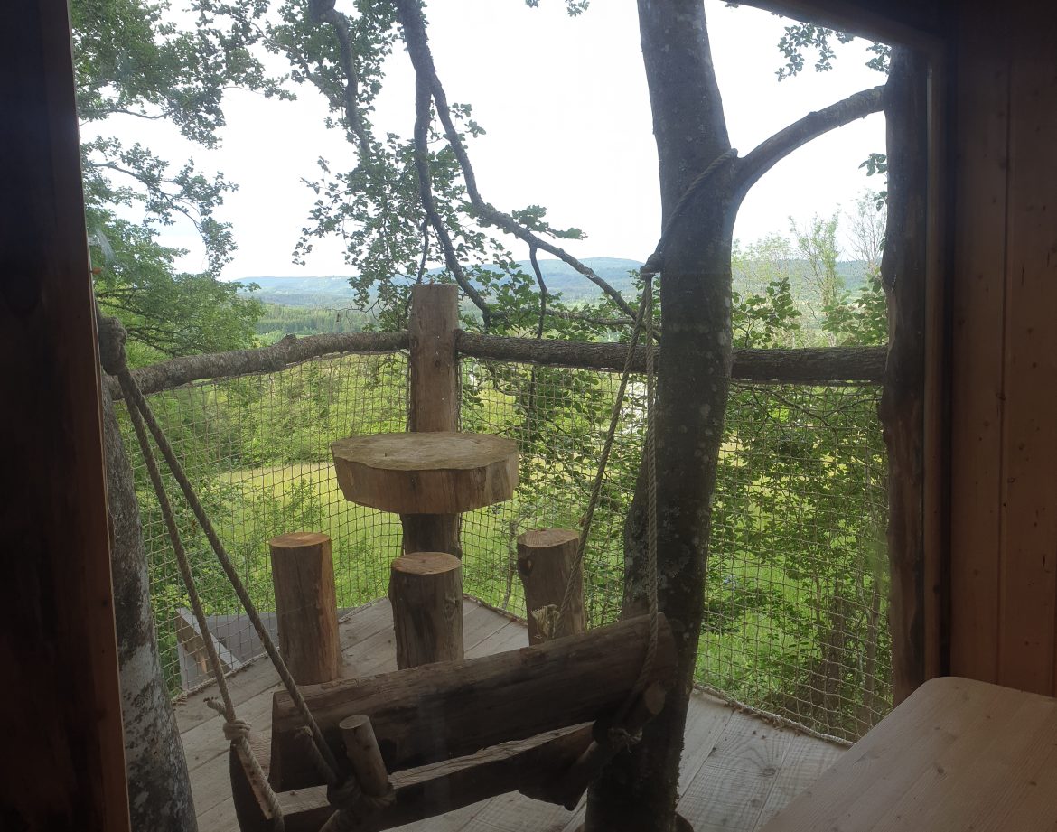 Cabane perchée dans les arbres avec une balançoire en bois et vue sur la nature.