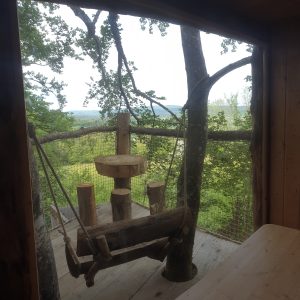 Cabane perchée dans les arbres avec une balançoire en bois et vue sur la nature.