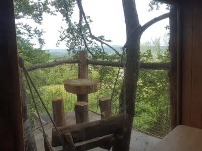 Cabane perchée dans les arbres avec une balançoire en bois et vue sur la nature.