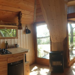 Cabane en bois avec grandes fenêtres et cuisine équipée, au cœur de la nature.