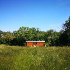 Cabane en bois au milieu dun champ verdoyant en Bourgogne, sous un ciel bleu.