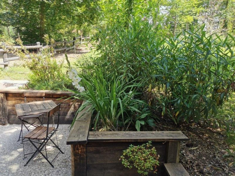 Hébergement en plein air avec un coin repas en bois entouré de verdure luxuriante.