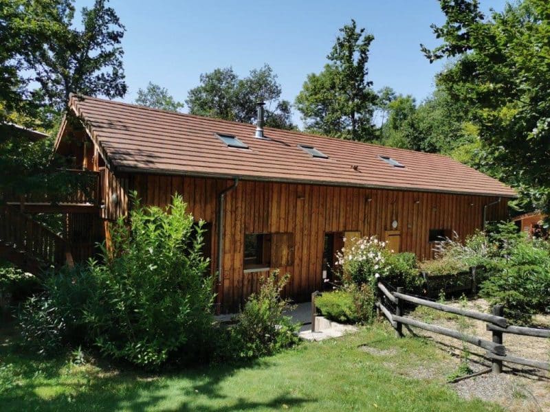 Chalet en bois entouré de verdure, avec un toit à deux pentes et des fenêtres lumineuses.