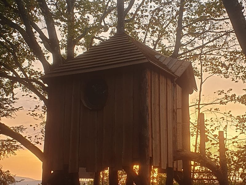 Cabane dans les arbres au coucher de soleil, entourée de verdure apaisante.