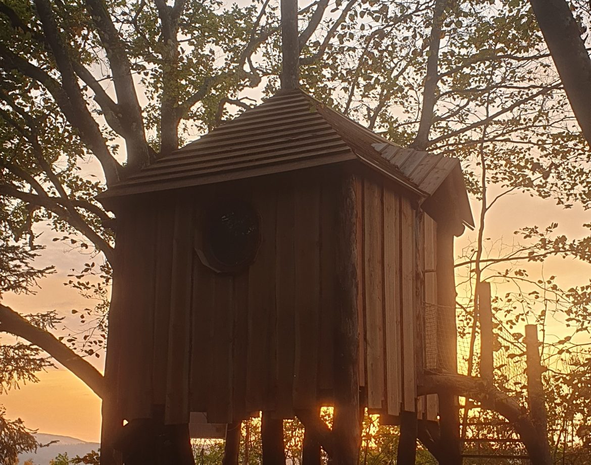 Cabane perchée en bois au coucher de soleil, entourée darbres majestueux.