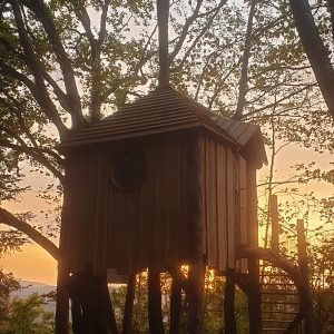 Cabane perchée en bois au coucher de soleil, entourée darbres majestueux.