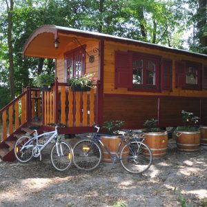 Charmante roulotte en bois entourée de verdure, avec des vélos stationnés à côté.