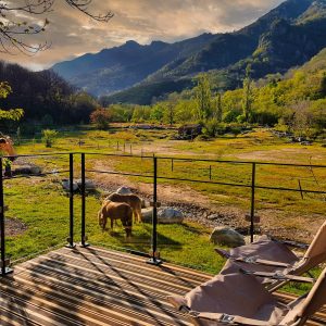 Hébergement insolite en Auvergne-Rhône-Alpes avec vue sur les montagnes et des chevaux.