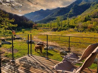 Hébergement insolite en Auvergne-Rhône-Alpes avec vue sur les montagnes et des chevaux.