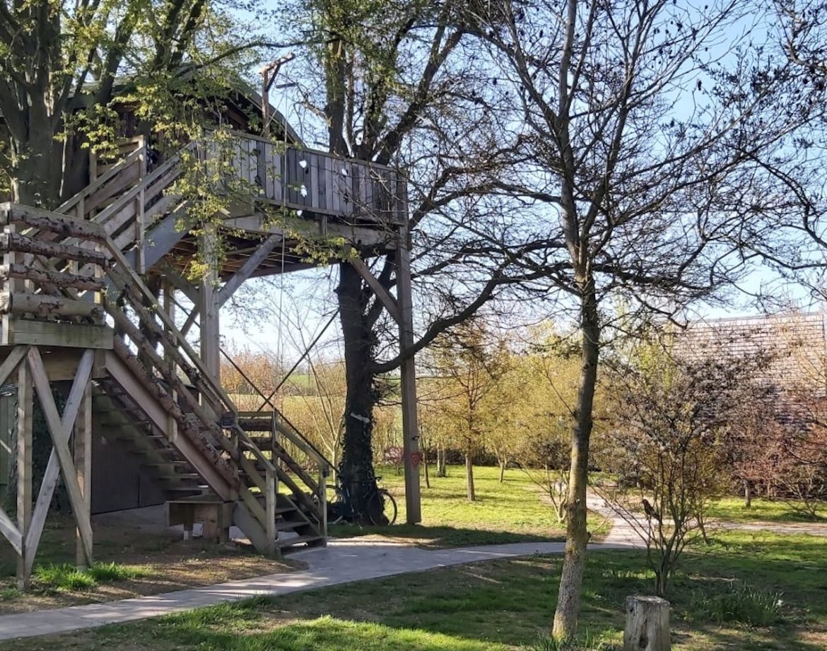 Cabane perchée dans les arbres, entourée de verdure et dun chemin en bois.
