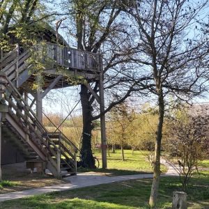 Cabane perchée dans les arbres, entourée de verdure et dun chemin en bois.