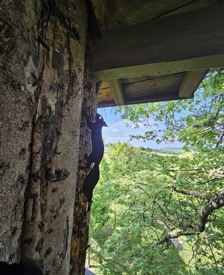 Cabane perchée dans un arbre, offrant une vue imprenable sur la nature verdoyante.