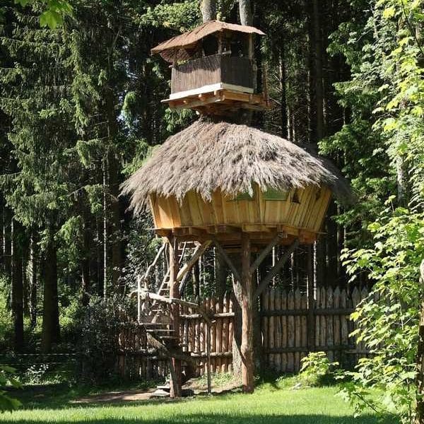 Cabane dans les arbres avec toit de chaume, entourée de verdure luxuriante.