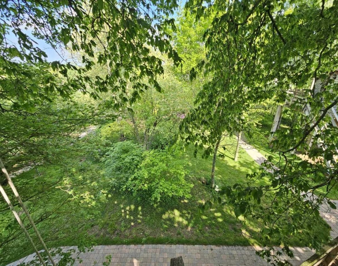 Cabane perchée en bois, entourée dune verdure luxuriante et apaisante.