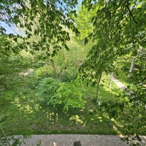 Cabane perchée en bois, entourée dune verdure luxuriante et apaisante.