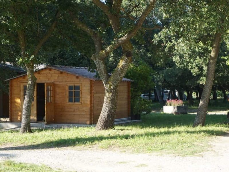 Cabane en bois entourée darbres, offrant un cadre naturel paisible.