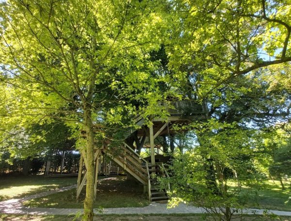 6-Cabane-dans-les-arbres