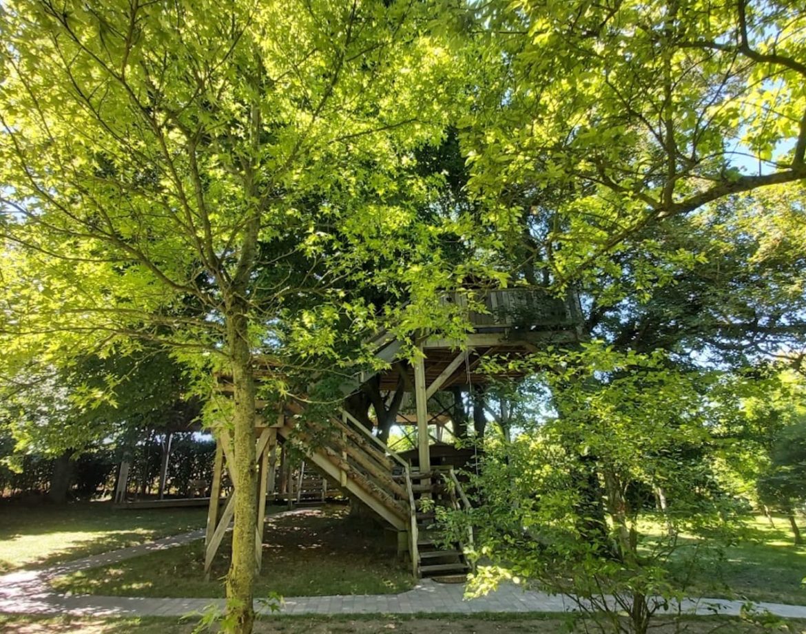 Cabane dans les arbres à Hauts-de-France, entourée de verdure luxuriante.