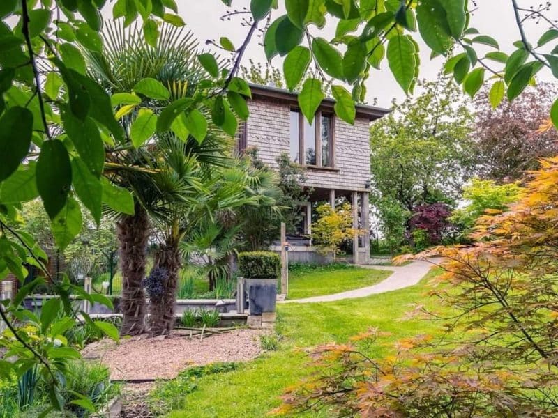 Maison dhôtes moderne entourée de verdure et de plantes exotiques.