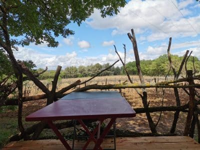 Cabane dans les vignes, vue dégagée sur le paysage verdoyant et ciel nuageux.