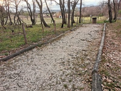 Hébergement insolite en pleine nature, chemin de gravier bordé darbres.