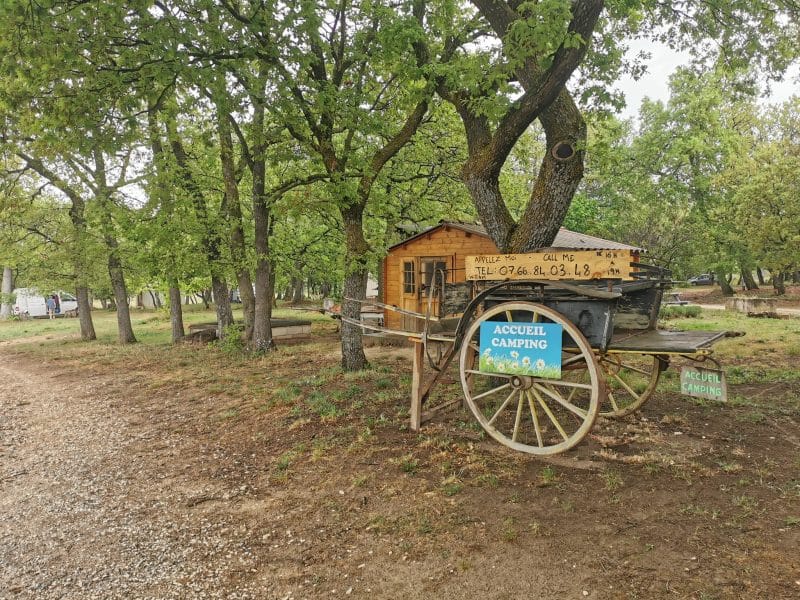 Camping rustique avec cabane en bois, entouré darbres verdoyants.