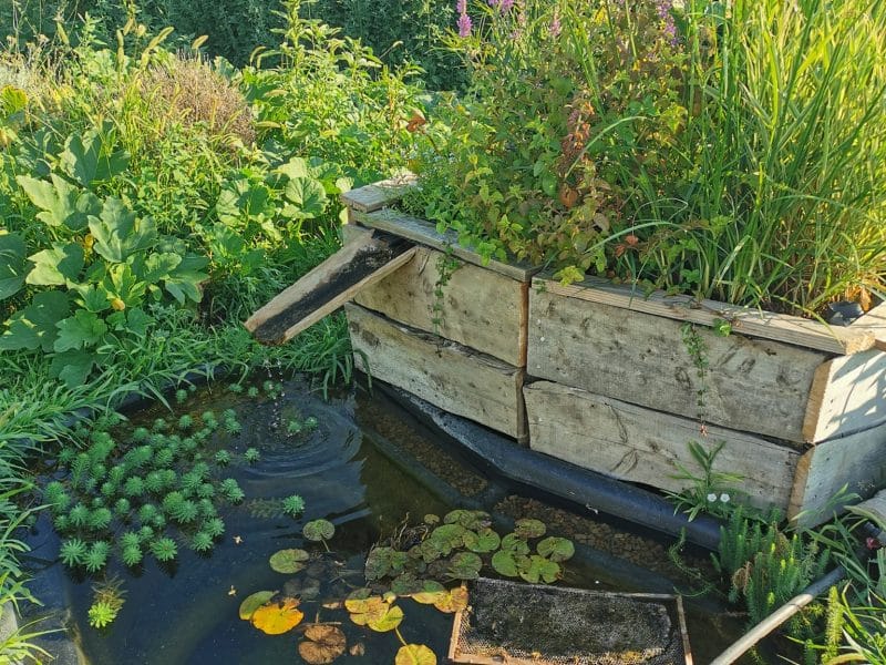 Hébergement en écolodge avec bassin naturel et fleurs colorées en pleine nature.