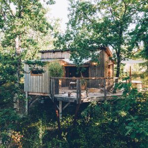 Cabane perchée en bois, entourée darbres, avec une terrasse ensoleillée.