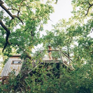 Cabane perchée dans les arbres, entourée de verdure luxuriante à Midi-Pyrénées.