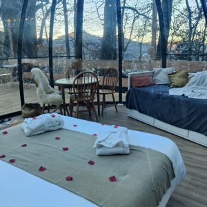 Hébergement insolite en bulle transparente, décor romantique avec pétales de rose.