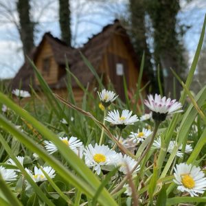 Hébergement insolite en bois avec toit de chaume, entouré de fleurs sauvages.
