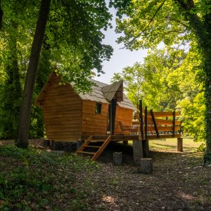Cabane en bois perchée, entourée darbres verdoyants à Champagne-Ardennes.