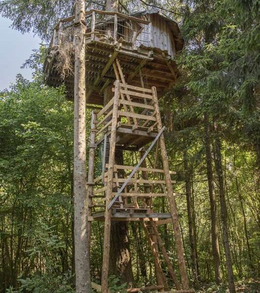 Cabane dans les arbres, perchée au milieu dune forêt verdoyante.