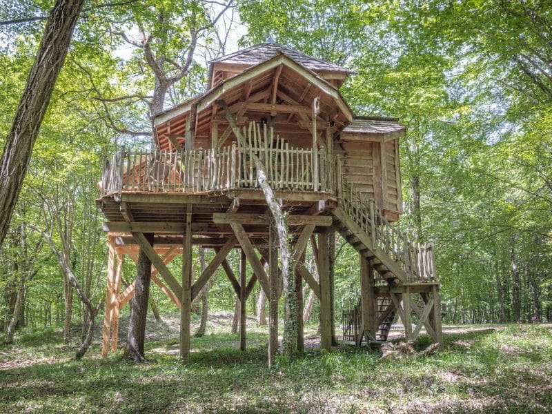Cabane dans les arbres en bois, perchée au milieu dune forêt verdoyante.