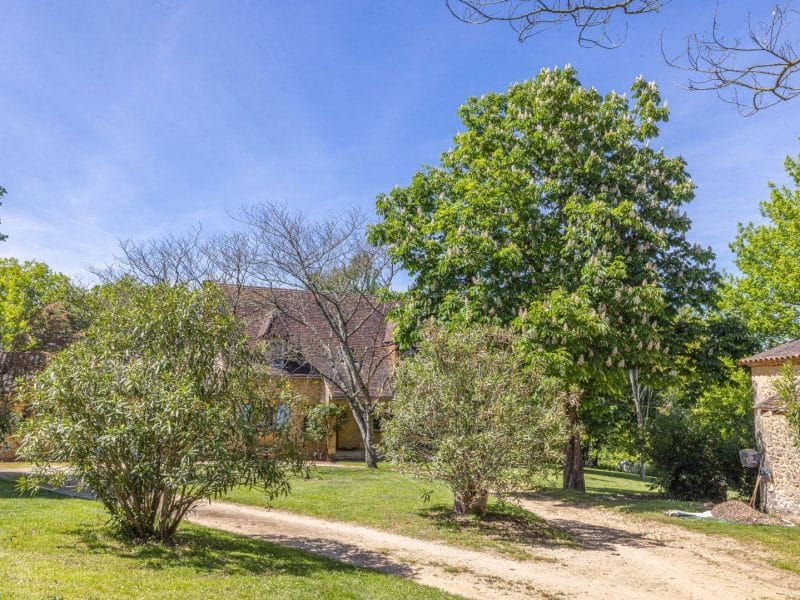 Gîte rural entouré darbres, avec un chemin menant à lentrée.