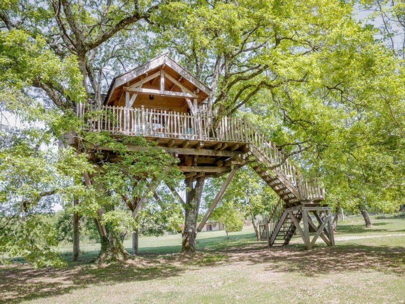 Cabane dans les arbres, perchée sur des branches verdoyantes, avec un accès en bois.