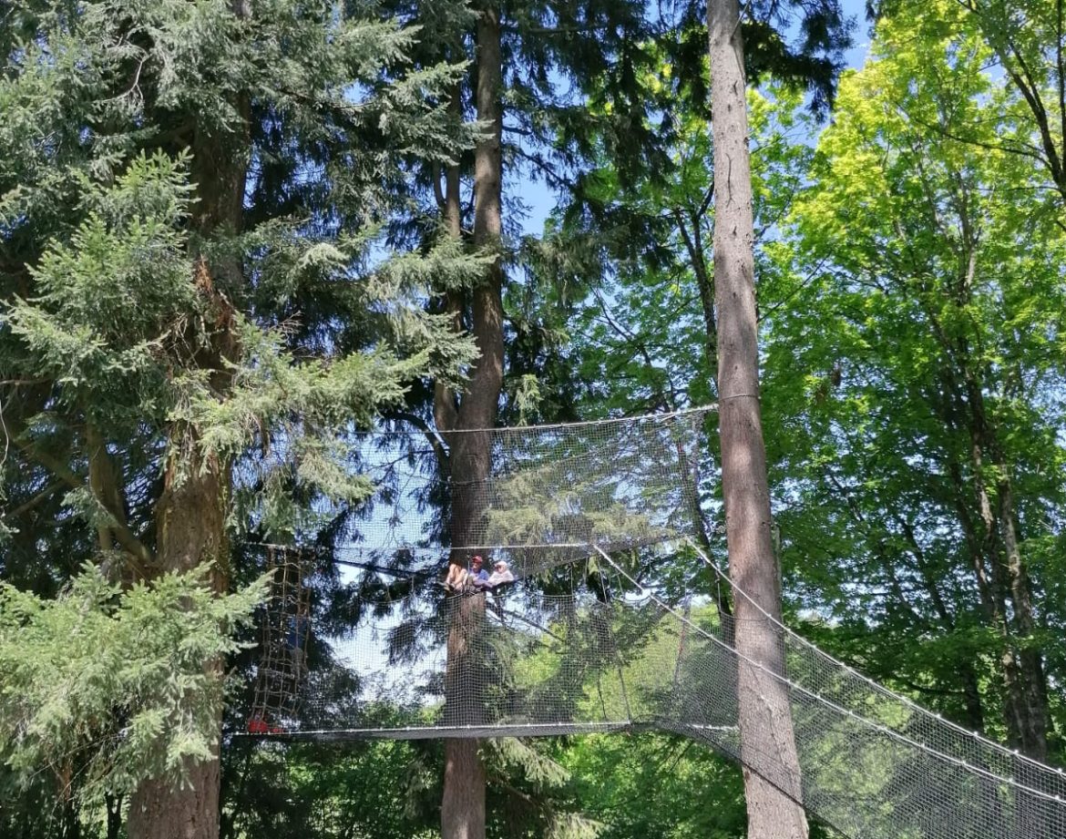 Hébergement insolite en cabane suspendue, niché entre les arbres verdoyants.