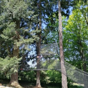 Cabane suspendue dans les arbres, entourée de grands sapins verdoyants.