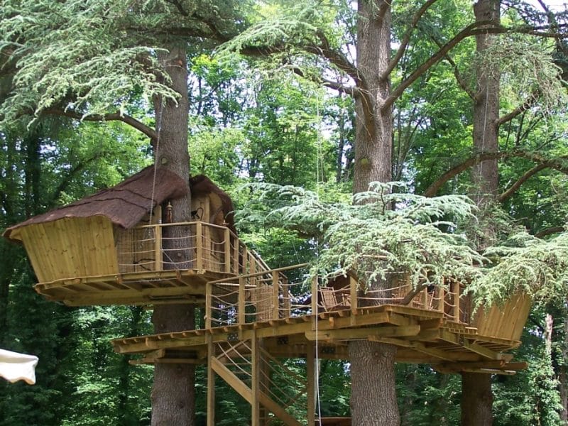 Cabane Ouistiti 2 2