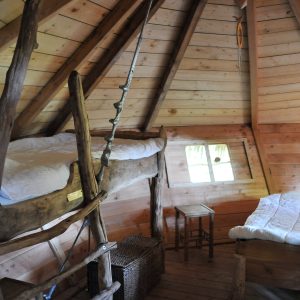 Chalet en bois dans les arbres, intérieur chaleureux avec lits en hauteur et lumière naturelle.