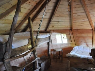 Chalet en bois dans les arbres, intérieur chaleureux avec lits en hauteur et lumière naturelle.