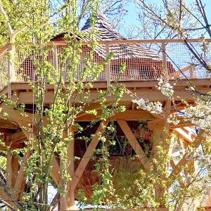 Cabane perchée dans les arbres, entourée de fleurs printanières et de verdure.