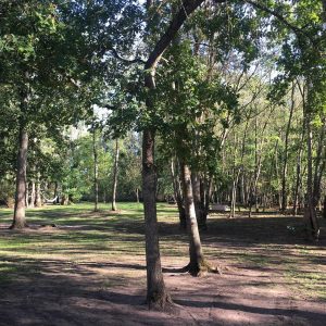 Hébergement insolite en pleine nature, entouré darbres verdoyants et dun sol sablonneux.
