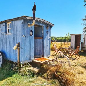 Charmante roulotte bleue entourée de verdure, idéale pour un séjour insolite.