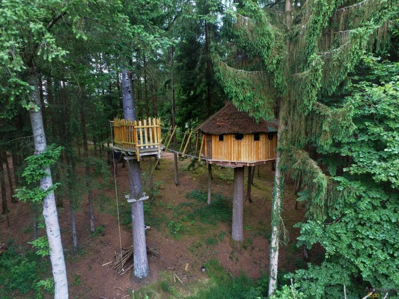 Cabane perchée en bois dans les arbres, entourée de verdure luxuriante en Auvergne.