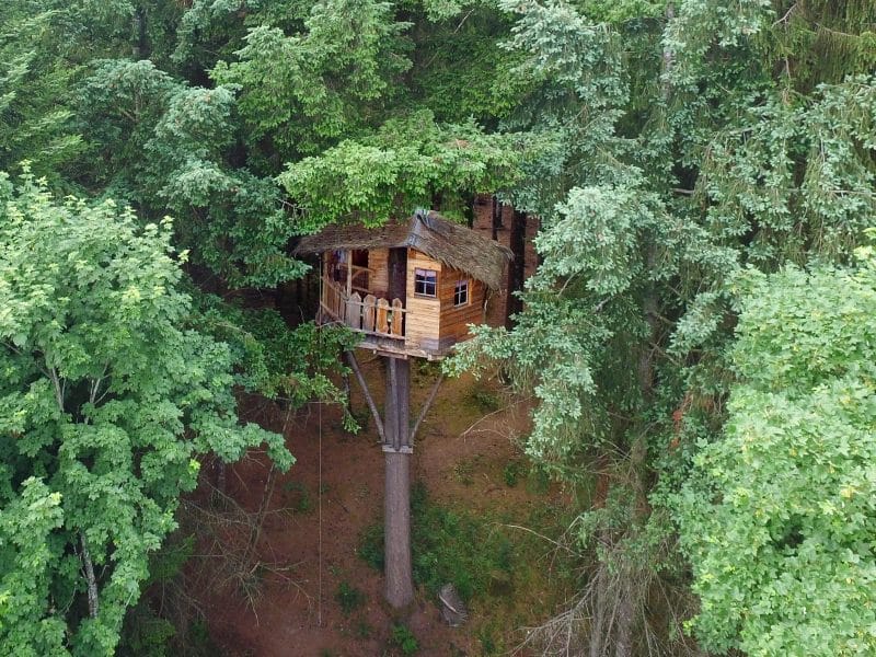 Cabane perchée dans les arbres, entourée de feuillage verdoyant en Auvergne.