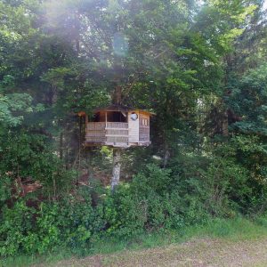 Cabane perchée dans les arbres en Auvergne, entourée de verdure luxuriante.