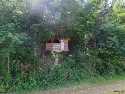 Cabane perchée dans les arbres en Auvergne, entourée de verdure luxuriante.